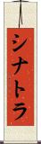 シナトラ Scroll