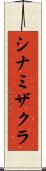 シナミザクラ Scroll