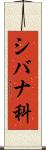 シバナ科 Scroll