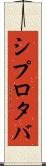 シプロタバ Scroll