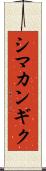 シマカンギク Scroll