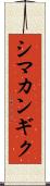 シマカンギク Scroll