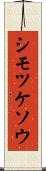 シモツケソウ Scroll