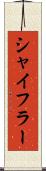 シャイフラー Scroll