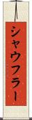 シャウフラー Scroll
