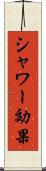 シャワー効果 Scroll