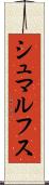 シュマルフス Scroll