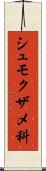 シュモクザメ科 Scroll