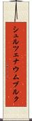 シュルツェナウムブルク Scroll