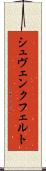 シュヴェンクフェルト Scroll