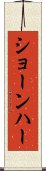 ショーンハー Scroll