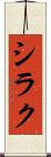 シラク Scroll
