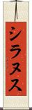 シラヌス Scroll
