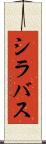 シラバス Scroll