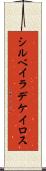 シルベイラデケイロス Scroll