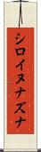 シロイヌナズナ Scroll