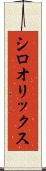 シロオリックス Scroll