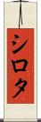 シロタ Scroll