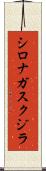シロナガスクジラ Scroll