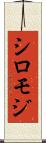 シロモジ Scroll