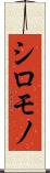 シロモノ Scroll
