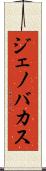 Jenovacus Scroll