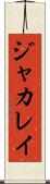ジャカレイ Scroll