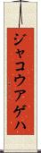ジャコウアゲハ Scroll