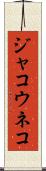 ジャコウネコ Scroll