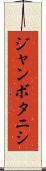 ジャンボタニシ Scroll
