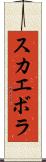 スカエボラ Scroll