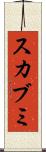 スカブミ Scroll