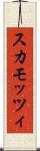 スカモッツィ Scroll