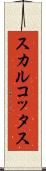 スカルコッタス Scroll