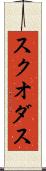 スクオダス Scroll