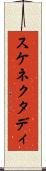 スケネクタディ Scroll
