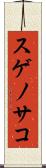 スゲノサコ Scroll