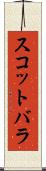 スコットバラ Scroll