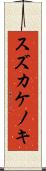 スズカケノキ Scroll