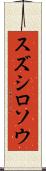 スズシロソウ Scroll