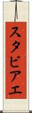 スタビアエ Scroll