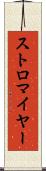 ストロマイヤー Scroll