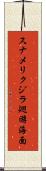 スナメリクジラ廻游海面 Scroll
