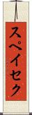 スペイセク Scroll
