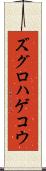 ズグロハゲコウ Scroll