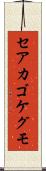 セアカゴケグモ Scroll