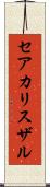 セアカリスザル Scroll