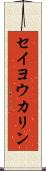 セイヨウカリン Scroll