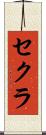 セクラ Scroll