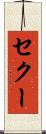 セクー Scroll
